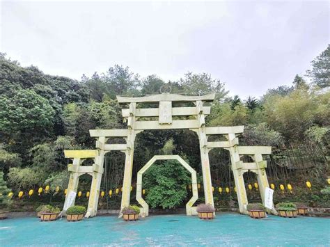 禪機山|【禪機山仙佛寺】南投國姓日式風情廟宇美麗又好拍!!